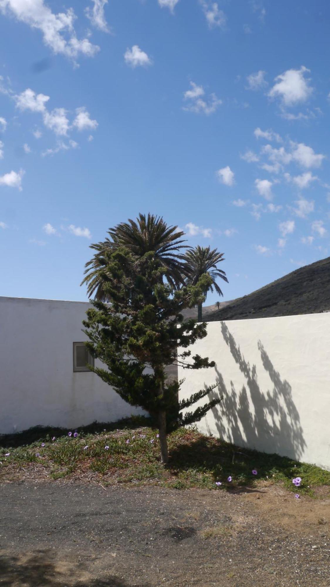 Casa Olga * Máguez